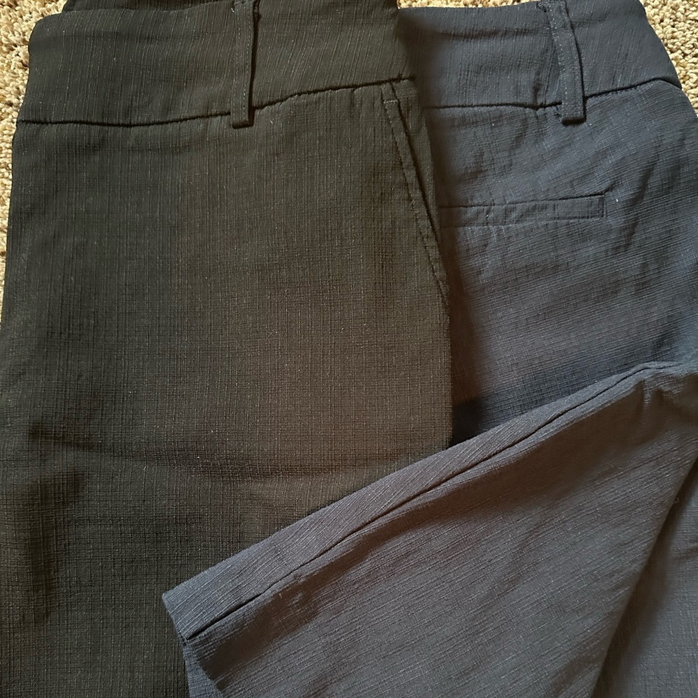 (2) Hilary Radley NWOT Short Bundle